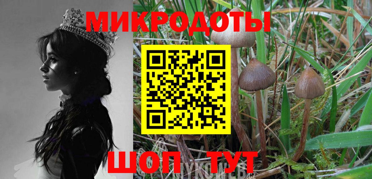 Псилоцибиновые грибы MAGIC MUSHROOMS Барабинск