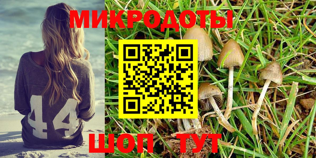 Галлюциногенные грибы Cubensis  Вход с VPN  Барабинск 